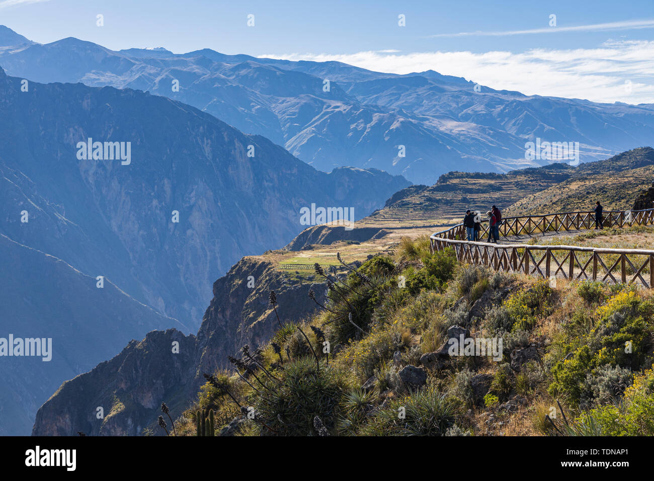 Vues le long du bord du canyon de Colca, Pérou, Amérique du Sud Banque D'Images