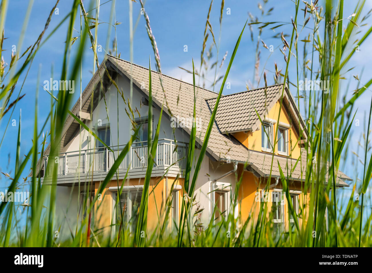 Maison individuelle moderne sur une prairie avec des tiges vertes à l'avant-plan Banque D'Images