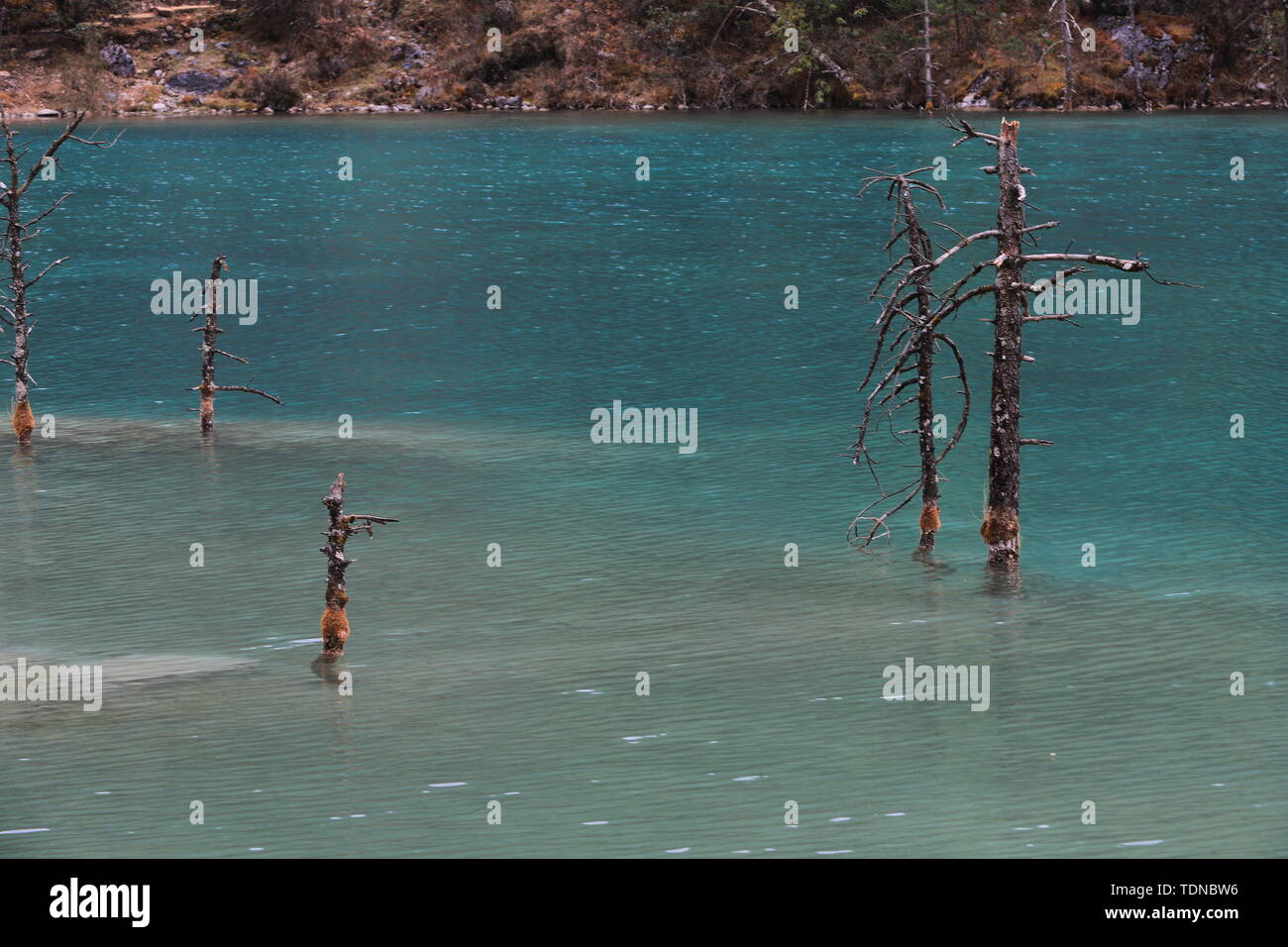 Blue Moon Valley Banque D'Images