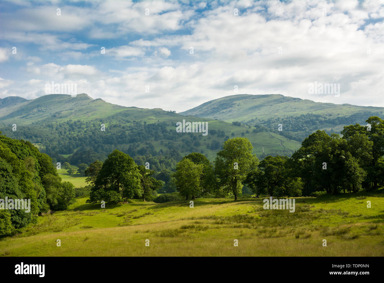 Scandale est tombé et moyen dans la Dodd Parc National de Lake District, Cumbria, Angleterre. Banque D'Images