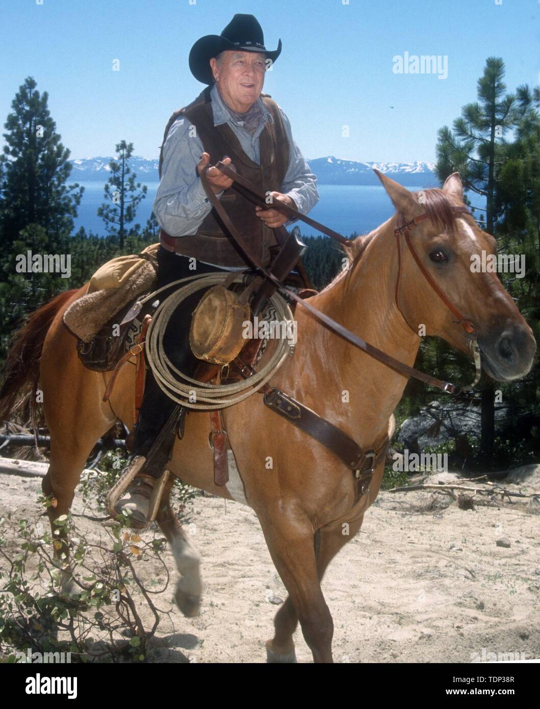 Ben Johnson 1993 Photo de Michael Ferguson/PHOTOlink.net Banque D'Images