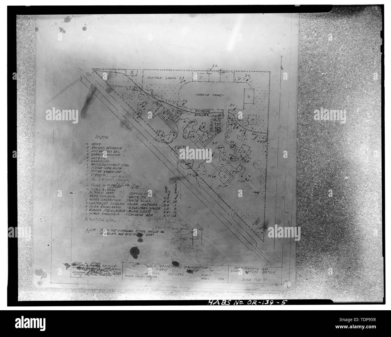 Photocopie de la ligne bleue (dessin au bureau de district de La Grande, La Grande, Oregon) USDA Forest Service, 1939 PLAN DIRECTEUR DE PLANTATION - Union européenne Ranger District composé, en face de l'autoroute 203, à l'extrémité ouest de l'Union européenne, Union européenne, Union County, ou Banque D'Images