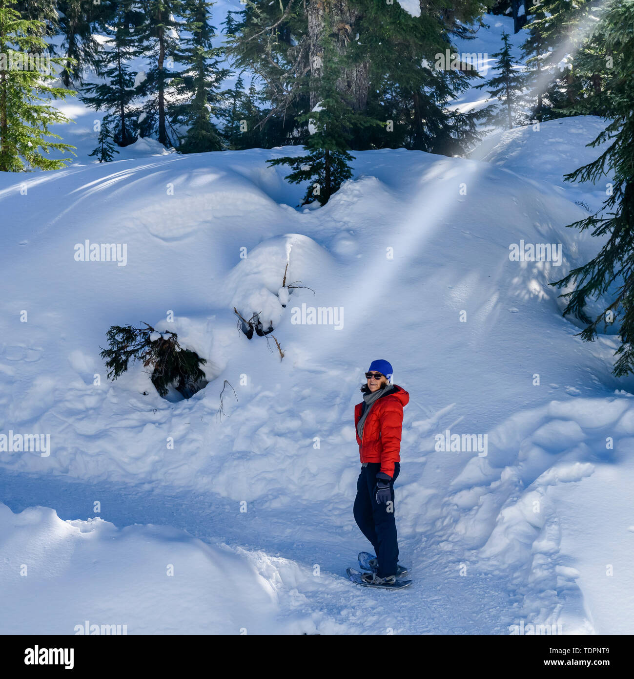 Femme en raquettes sur les sentiers de raquettes de montagne chien dans la région de North Vancouver ; Vancouver, Colombie-Britannique, Canada Banque D'Images