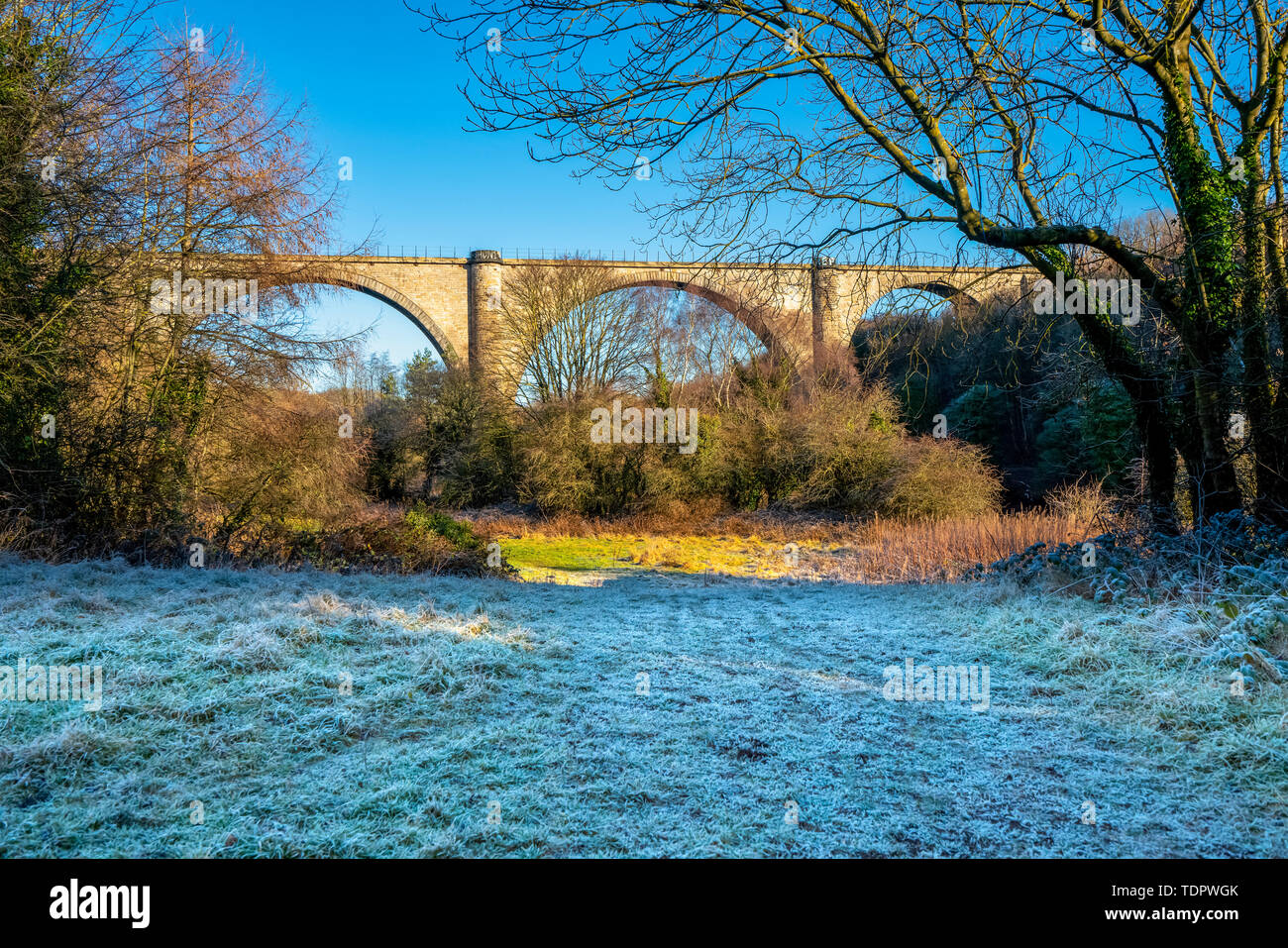 Victoria Bridge, un viaduc de 810 pieds de long sur la rivière Wear près de Fatfield, Washington.Il a été construit pour le chemin de fer de Durham Junction et... Banque D'Images