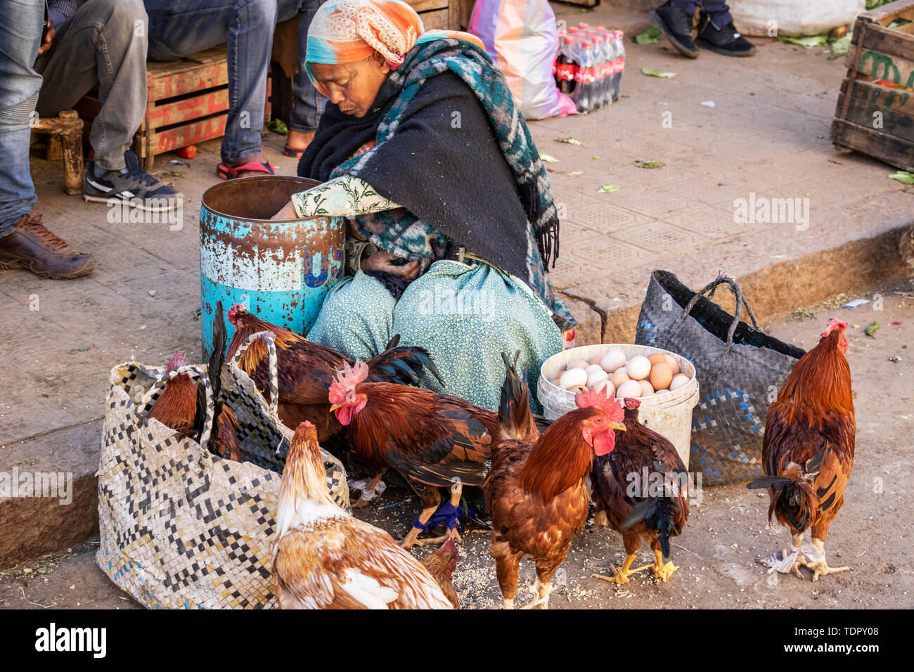 La vente de poulets érythréenne au Mercato des populations autochtones ; Asmara, Érythrée, Région du Centre Banque D'Images