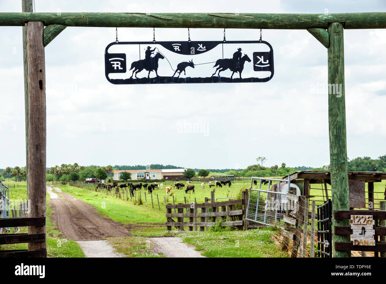 Floride,LaBelle,entrée de ranch panneau arche,Western theme,cow-boys roping de veau,vaches,FL190507009 Banque D'Images