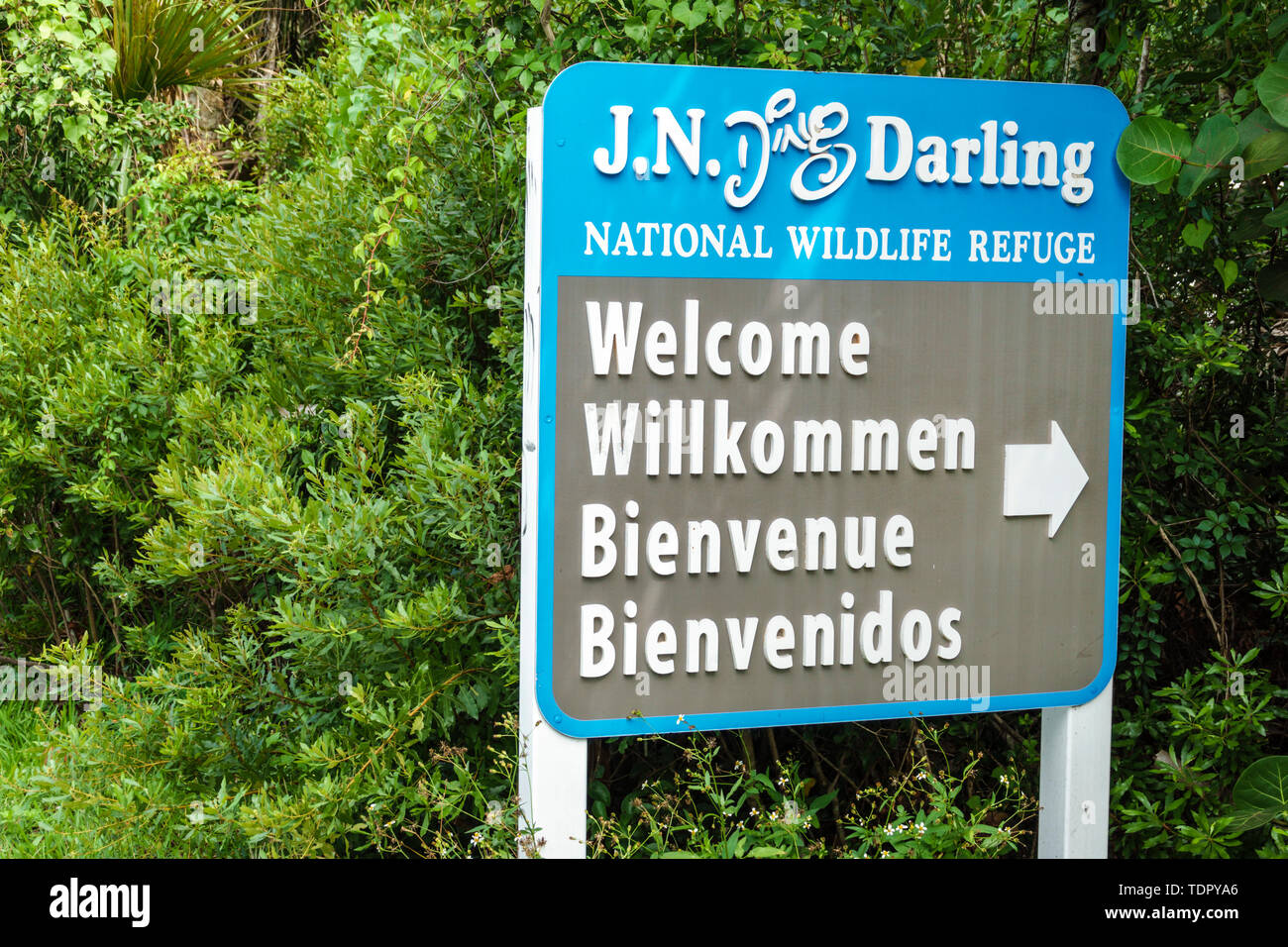 Sanibel Island Florida, J.N. Ding Darling National Wildlife refuge, al conservation, panneau d'entrée de bienvenue, plusieurs langues, anglais français allemand Banque D'Images