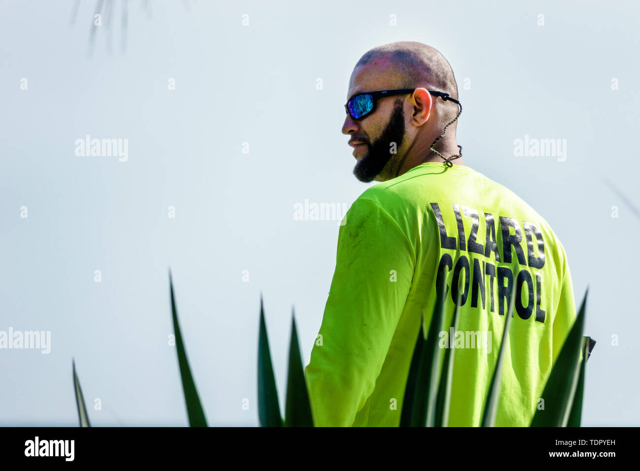 Captiva Island Florida,Programme de gestion exotique de lézard,trapècheur de attrape iguana,homme homme homme,entrepreneur municipal,contrôle de lézard,FL190507108 Banque D'Images