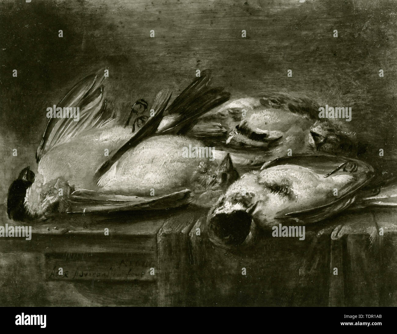 Still Life, des oiseaux morts sur une table, peinture par Alexander Adriaenssen Banque D'Images