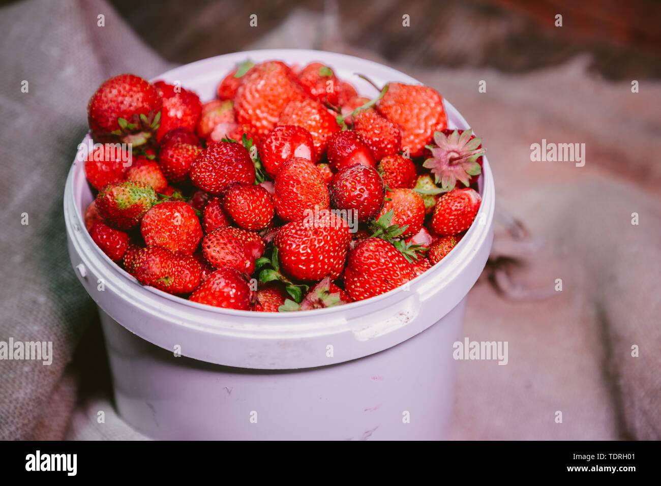 Fraises fraîches et naturelles dans le vent blanc Banque D'Images