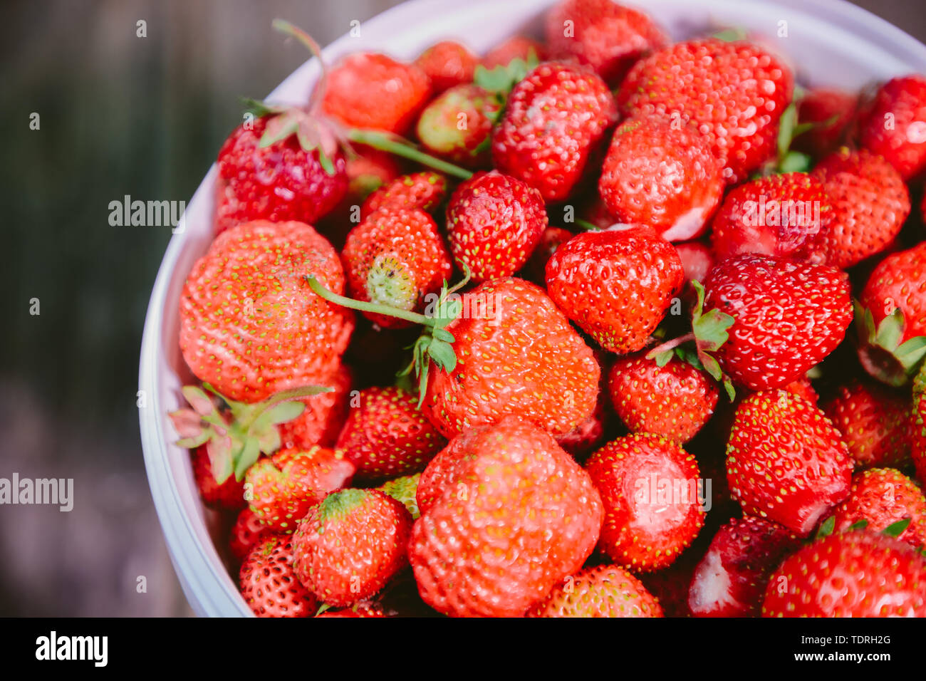 Fraises fraîches et naturelles dans le vent blanc Banque D'Images