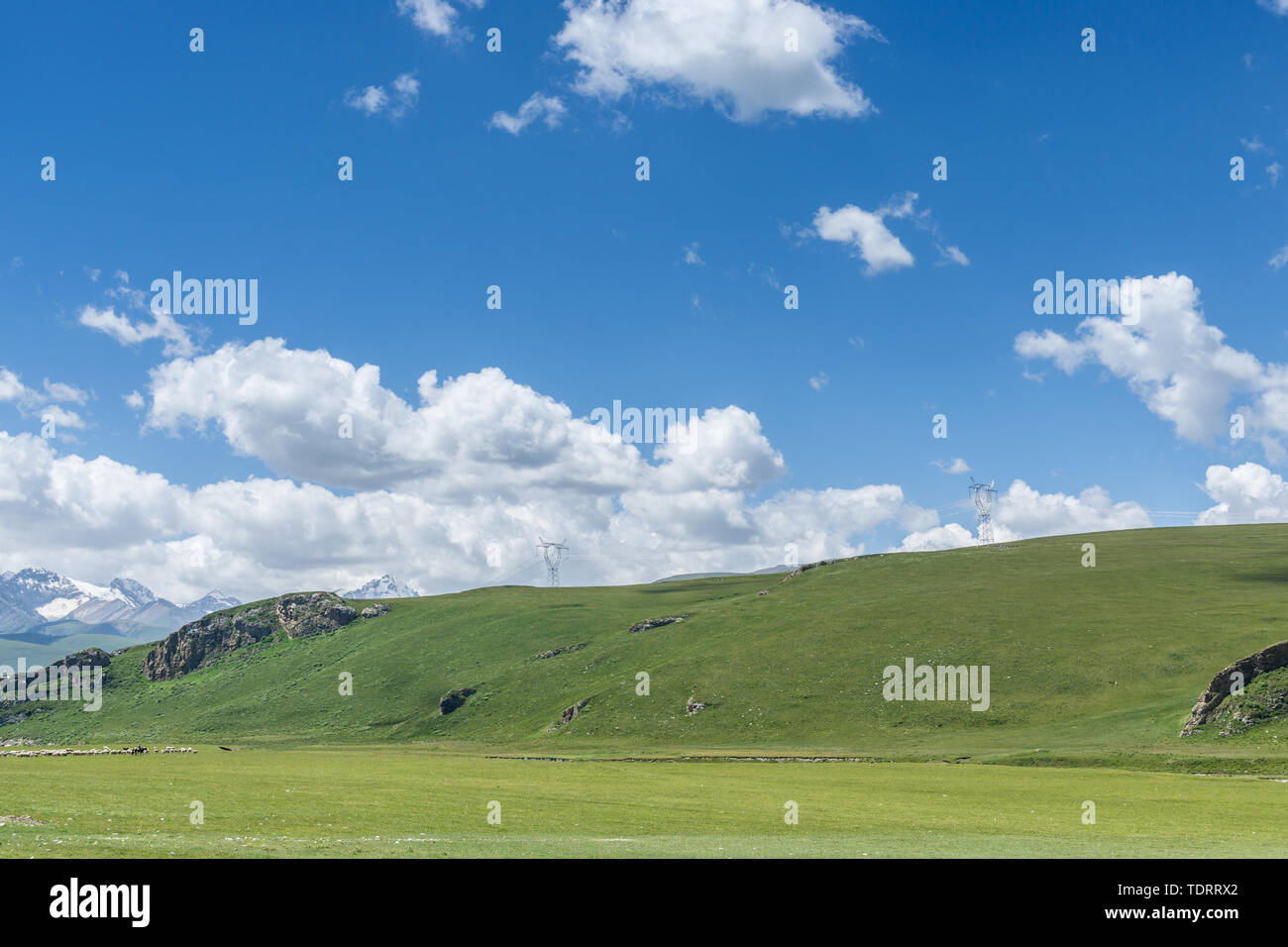 Les prairies alpines le long de la G217 Duku sous l'autoroute l'été, ciel bleu et nuages blancs dans le Xinjiang, Chine Banque D'Images