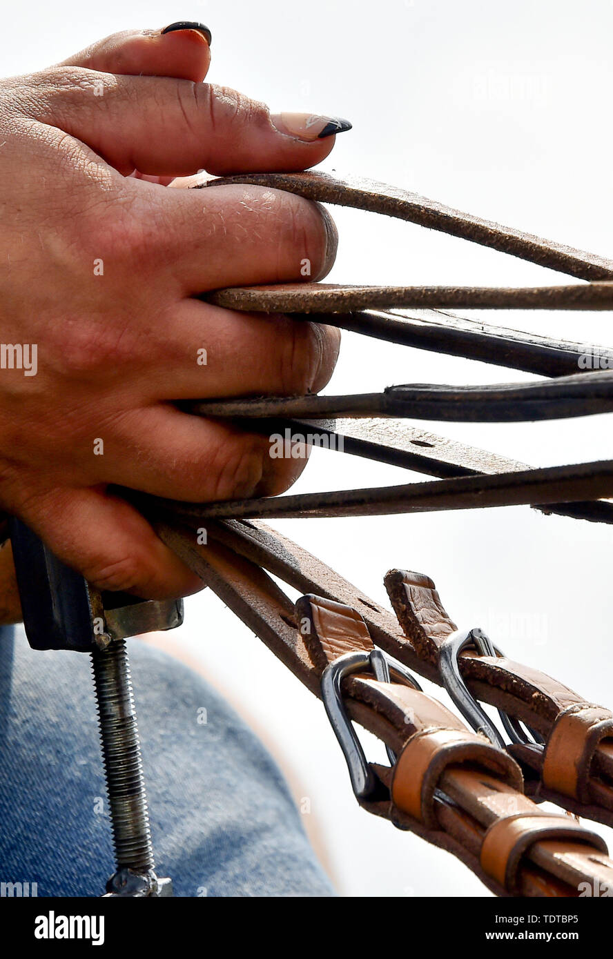 Brandenburg, Allemagne. 19 Juin, 2019. 19 juin 2019, le Brandebourg, Brück : Mains d'un membre de l'équipe du Kaltblut Zucht- und Association sportive Brück, qui tiennent les rênes, peut être vu dans l'arène de la concurrence. Différentes courses de chevaux peut être vu à la 18e sang froid événement du 28 au 30 juin 2019. En outre, le 'Wild West' se présente dans l'arène. Photo : Bernd Settnik/dpa-Zentralbild/dpa dpa : Crédit photo alliance/Alamy Live News Banque D'Images