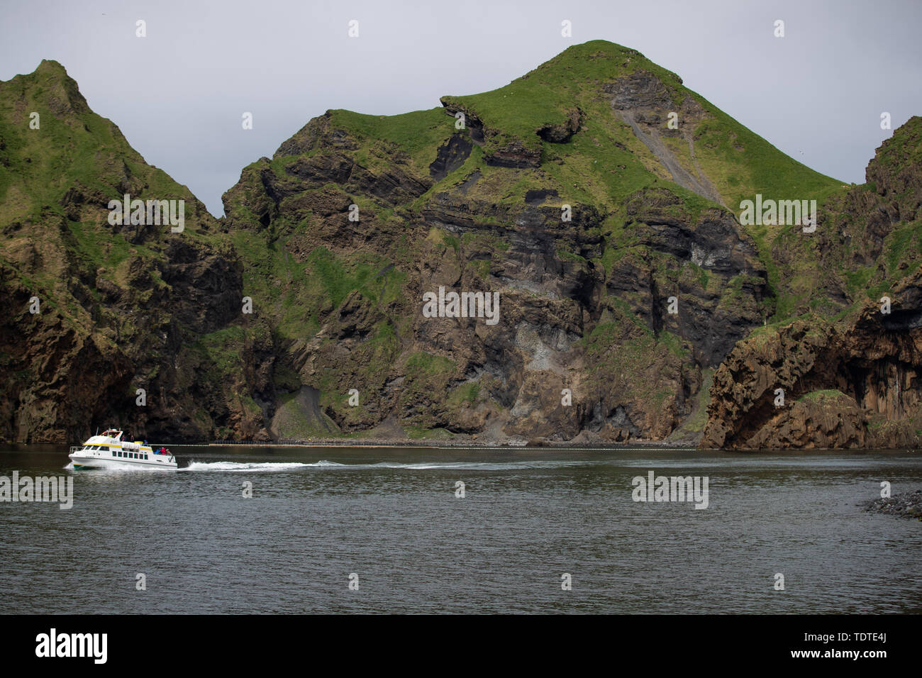 Klettsvik Bay, l'île de Heimaey, l'Islande, où deux bélugas peu de blanc et gris sont peu être rehomed dans un sanctuaire de l'eau après des années de captivité à Shanghai, Chine. Dans un monde d'abord par la mer Life Trust, les baleines ont été transportés 6 000 milles aériens, terrestres et maritimes à l'Islande, où ils seront soignés dans un réservoir spécial pour environ un mois avant d'être déplacée à leur nouveau, ouvrir l'eau à la maison. Banque D'Images