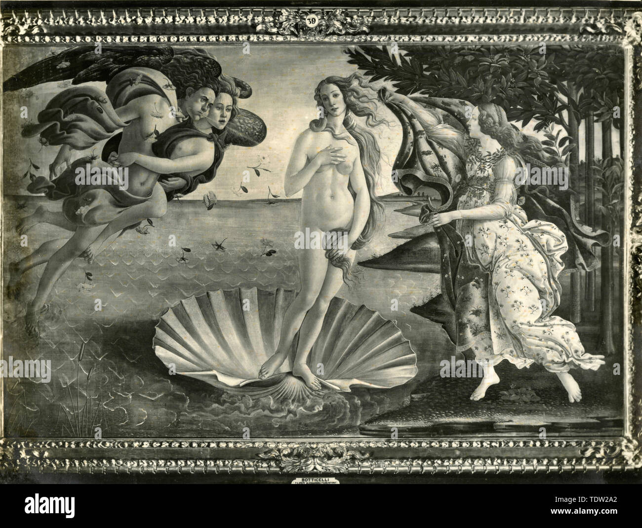 La Naissance de Vénus, la peinture de Botticelli, 1930 Banque D'Images