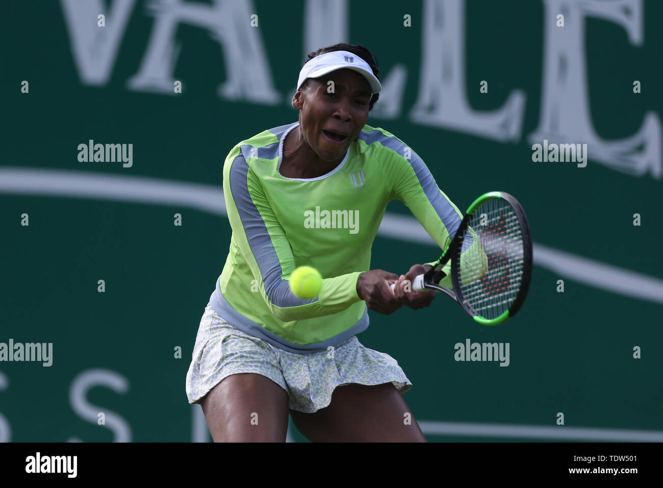 Venus Williams pendant six jours de la Nature Valley Classic à Edgbaston, Birmingham Club Priory. Banque D'Images