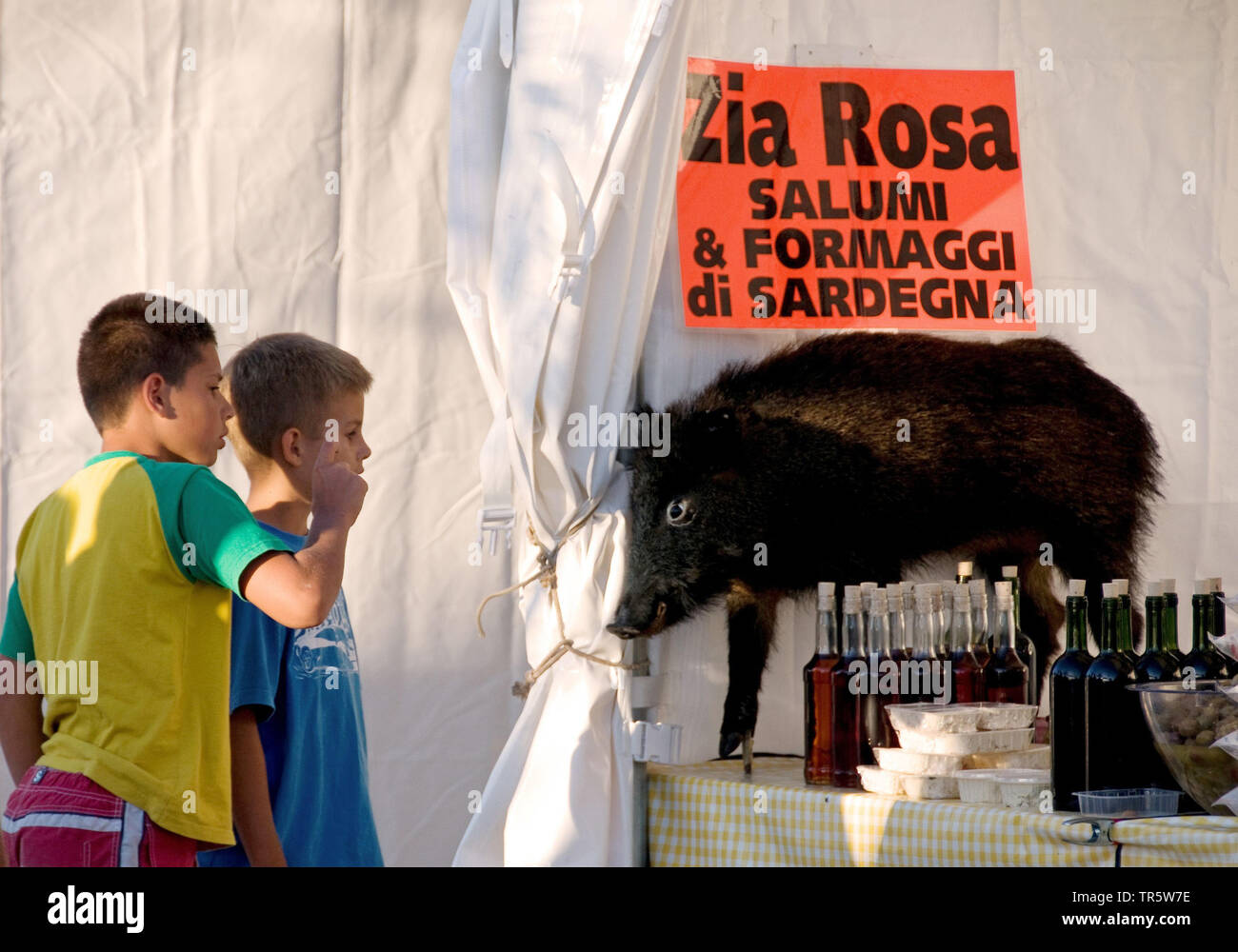Le sanglier, le porc, le sanglier (Sus scrofa), deux garçons regardant un sanglier en peluche dans la vieille ville, l'Italie, Sardaigne, Alghero Banque D'Images