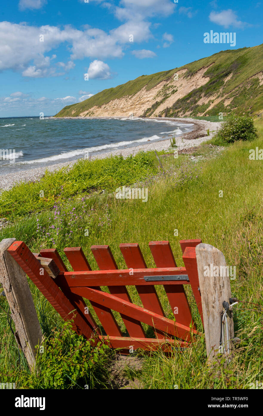 Pâturage rouge porte à la côte nord-est de l'île de Samsoe en été, le Kattegat, Danemark, Samsoe, Maarup Banque D'Images