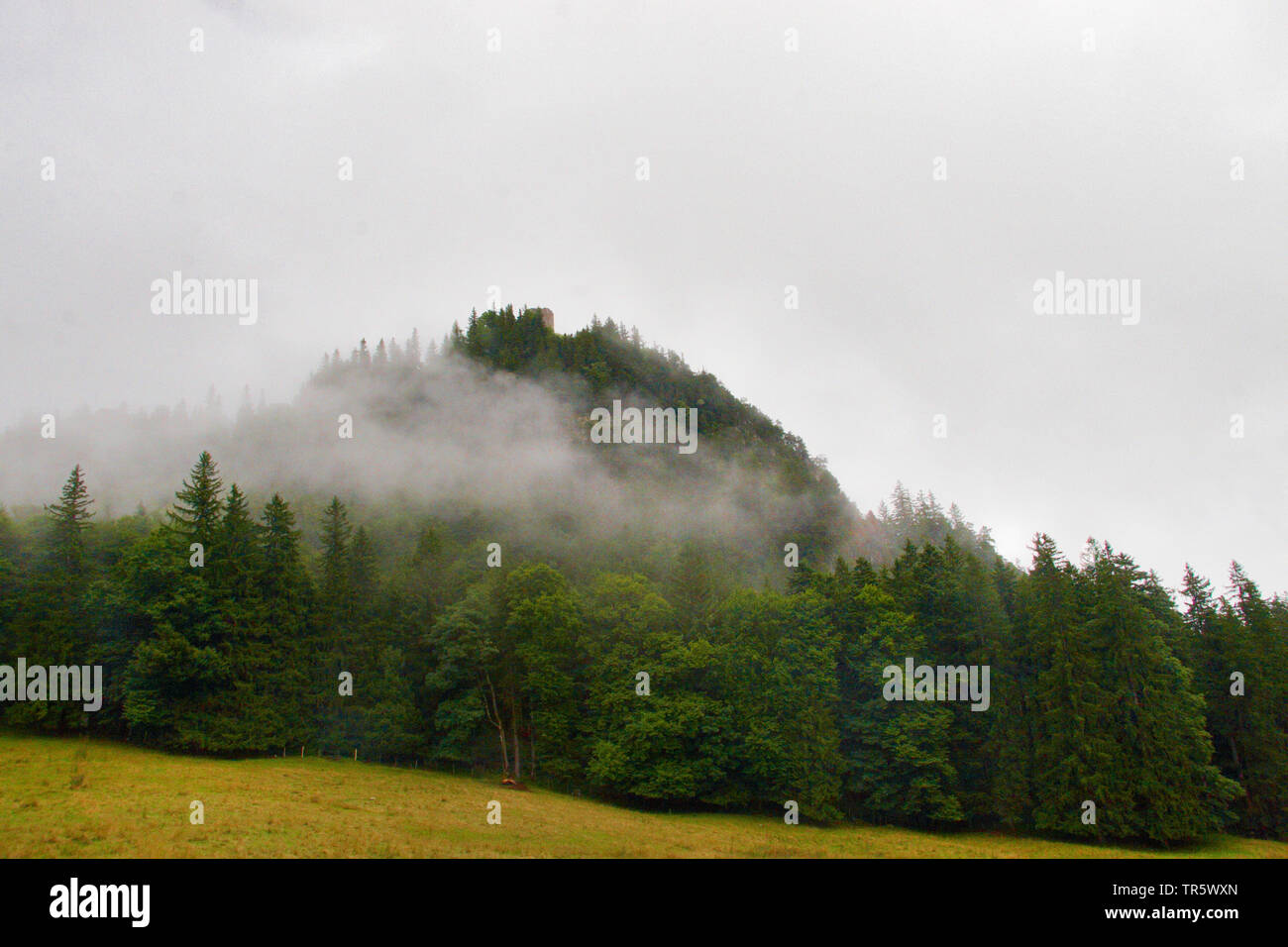 Sur le chemin de château du Falkenstein, Allemagne, Bavière, Allgaeu, Pfronten Banque D'Images