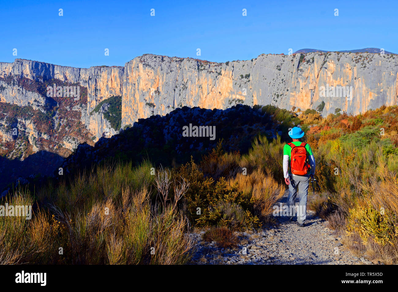 Le canyon du Verdon vu du point appelé Rancoumas, France, Provence, parc naturel du Verdon Banque D'Images