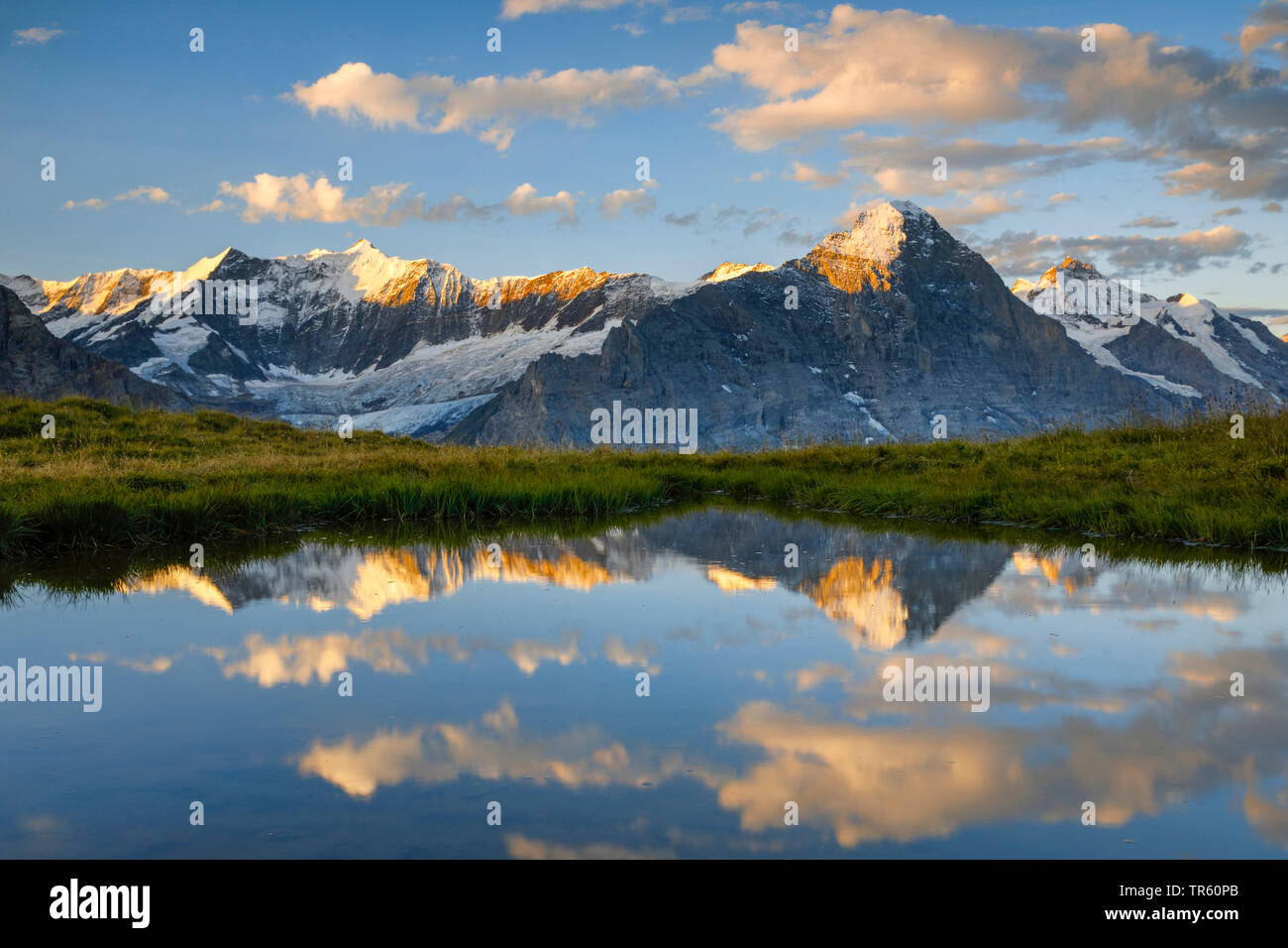 Eiger, Moench et Jungfrau se reflétant dans un lac de montagne, la Suisse, l'Oberland bernois Banque D'Images