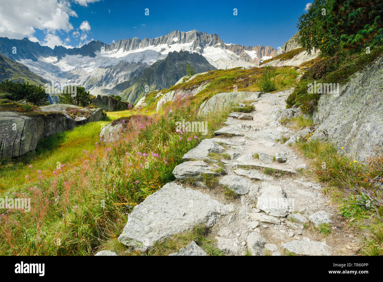 Vue depuis la montagne du Dammastock à Goescheneralp, Suisse, Uri Banque D'Images