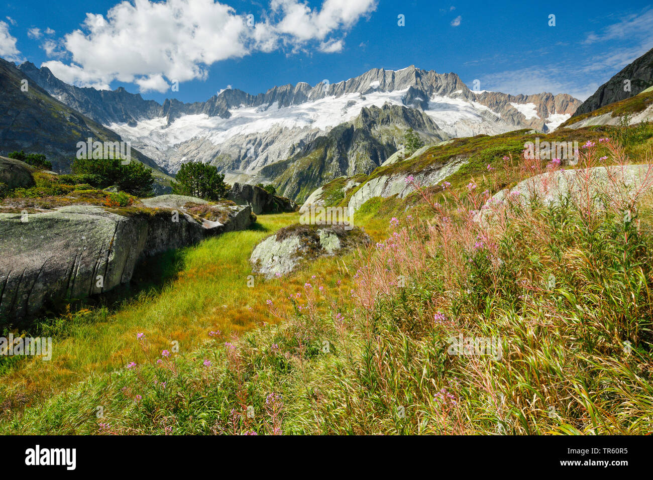 Vue depuis la montagne du Dammastock à Goescheneralp, Suisse, Uri Banque D'Images
