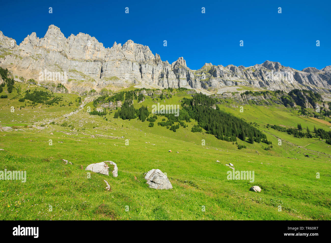 Voir à partir de la haute vallée d'Urnerboden, Laeckistock Signalstock Nossen, Rot, Jegerstoeck Ortstock Schijen, et montagnes, la Suisse, Uri Banque D'Images