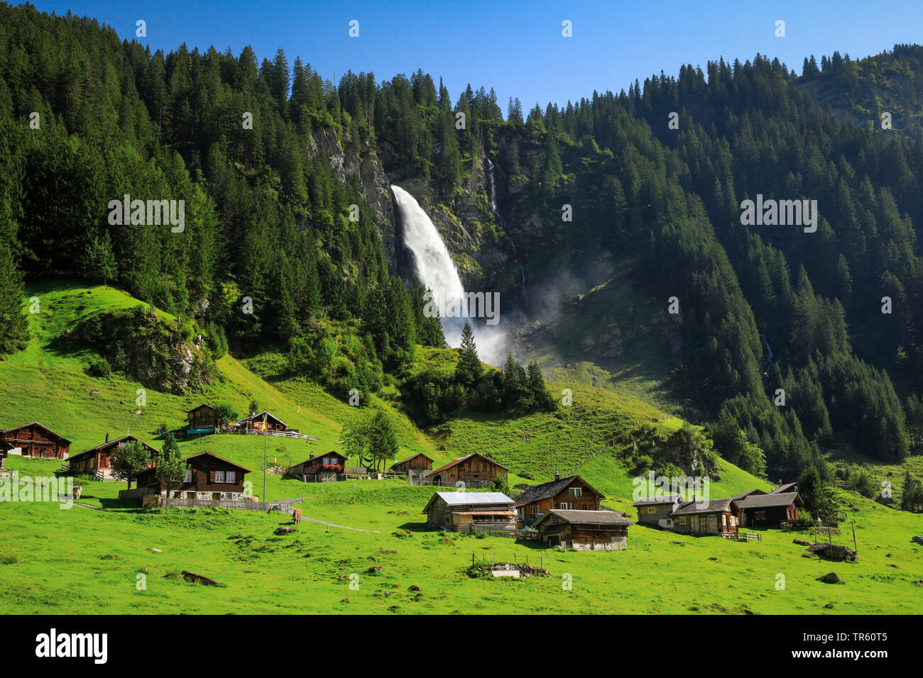 Dans Staeubifall Unterschaechen cascade, Suisse, Uri, Alp'Aesch Banque D'Images