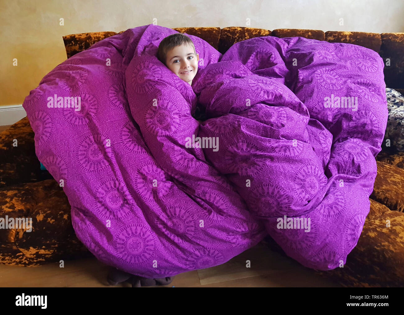 Petit garçon avec couvre-lit violet, Allemagne Banque D'Images