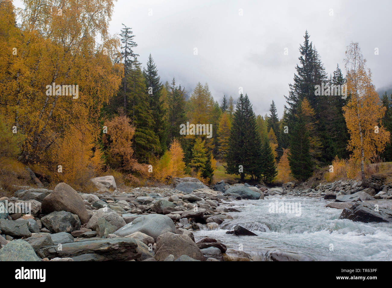 Ruisseau de montagne dans la vallée de Cogne en automne, l'Italie, Aoste, Gran Paradiso National Park Banque D'Images