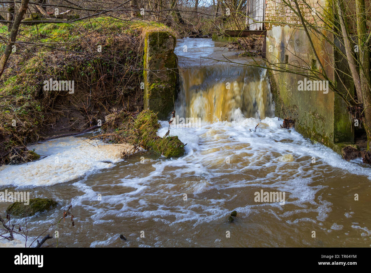 La mousse dans un ruisseau, le lessivage du fumier dans un ruisseau dans une région d'élevage, l'Allemagne, la Bavière Banque D'Images