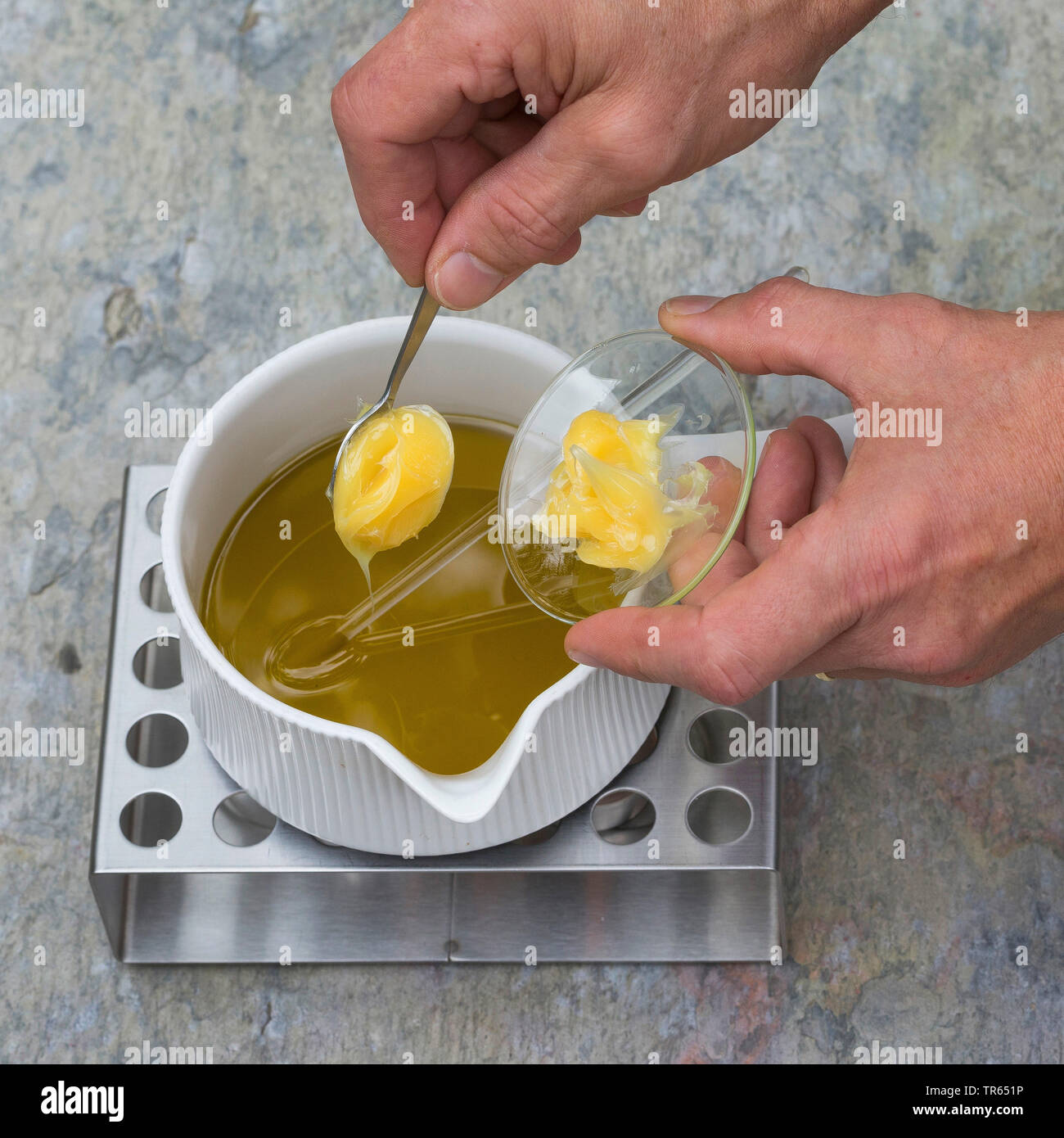 Politique L'onagre (Oenothera biennis), la production de crème glacée, onagre 3 étape : la lanoline est ajouté à l'huile dans un pot sur le réchauffement, série photo 3/10, Allemagne Banque D'Images