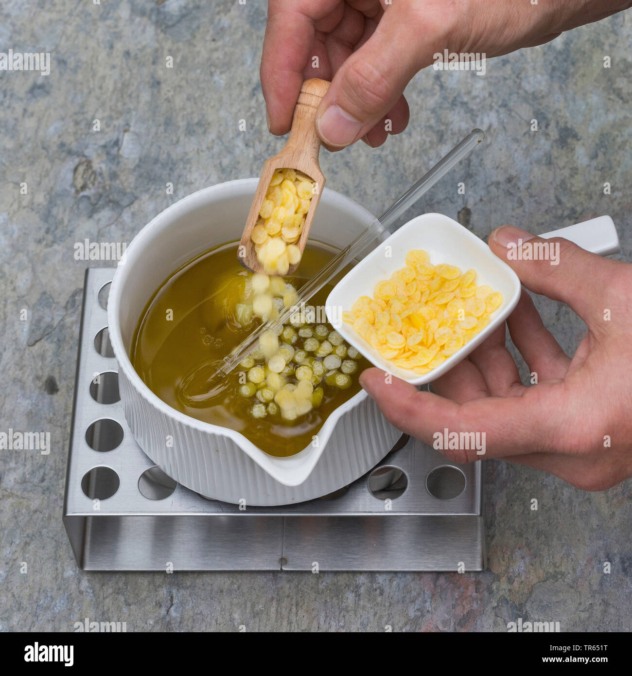 Politique L'onagre (Oenothera biennis), la production de crème glacée, onagre 4 étape : cire d'abeille est ajouté à l'huile dans un pot sur le réchauffement, série photo 4/10, Allemagne Banque D'Images