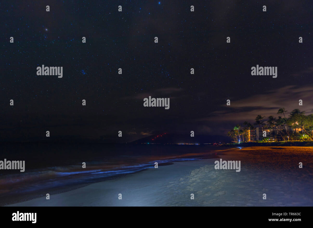 Plage de sable fin et palmiers de nuit étoilée, USA, Hawaii, Kamaole Beach Park II, Kihei Banque D'Images