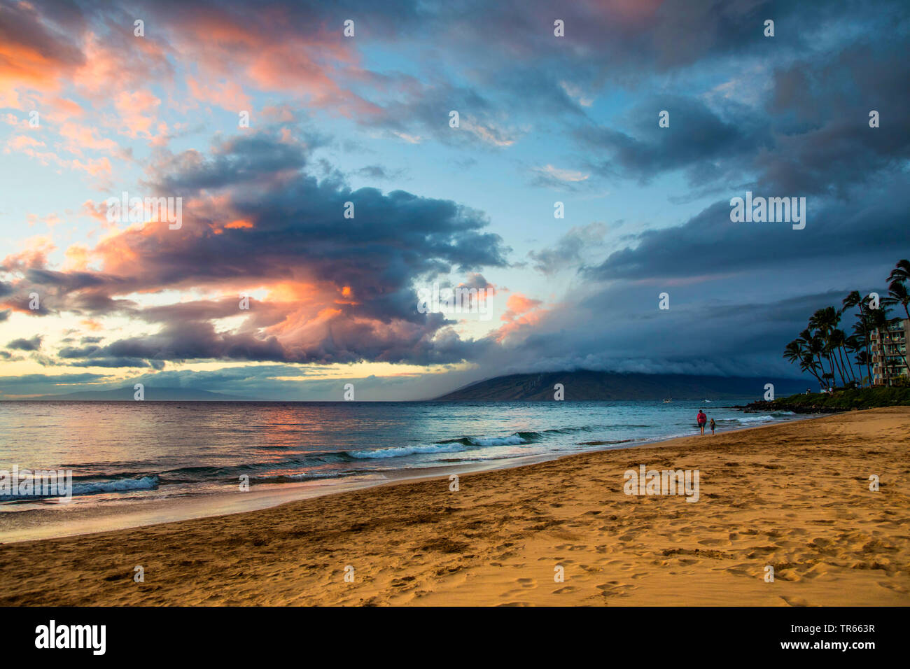Plage de sable fin dans la lumière du soir, USA, Hawaii, Kamaole Beach Park II, Kihei Banque D'Images