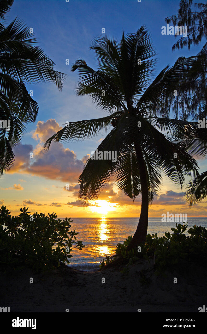 Coucher du soleil dans l'amérique du nord, Guadeloupe Banque D'Images