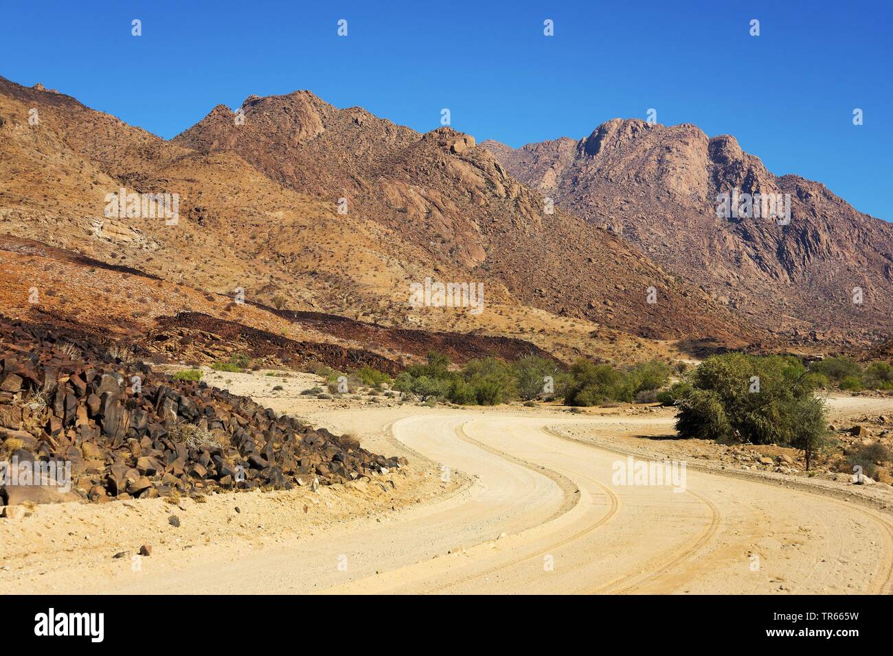 Brandberg Mountain, Namibie, Erongo, Brandberg Banque D'Images