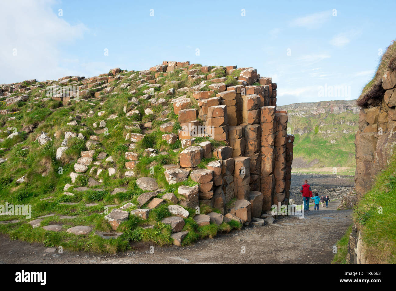 Les colonnes de basalte Giant's Causeway, l'Irlande, d'Antrim, en Irlande du Nord, Bushmills Banque D'Images