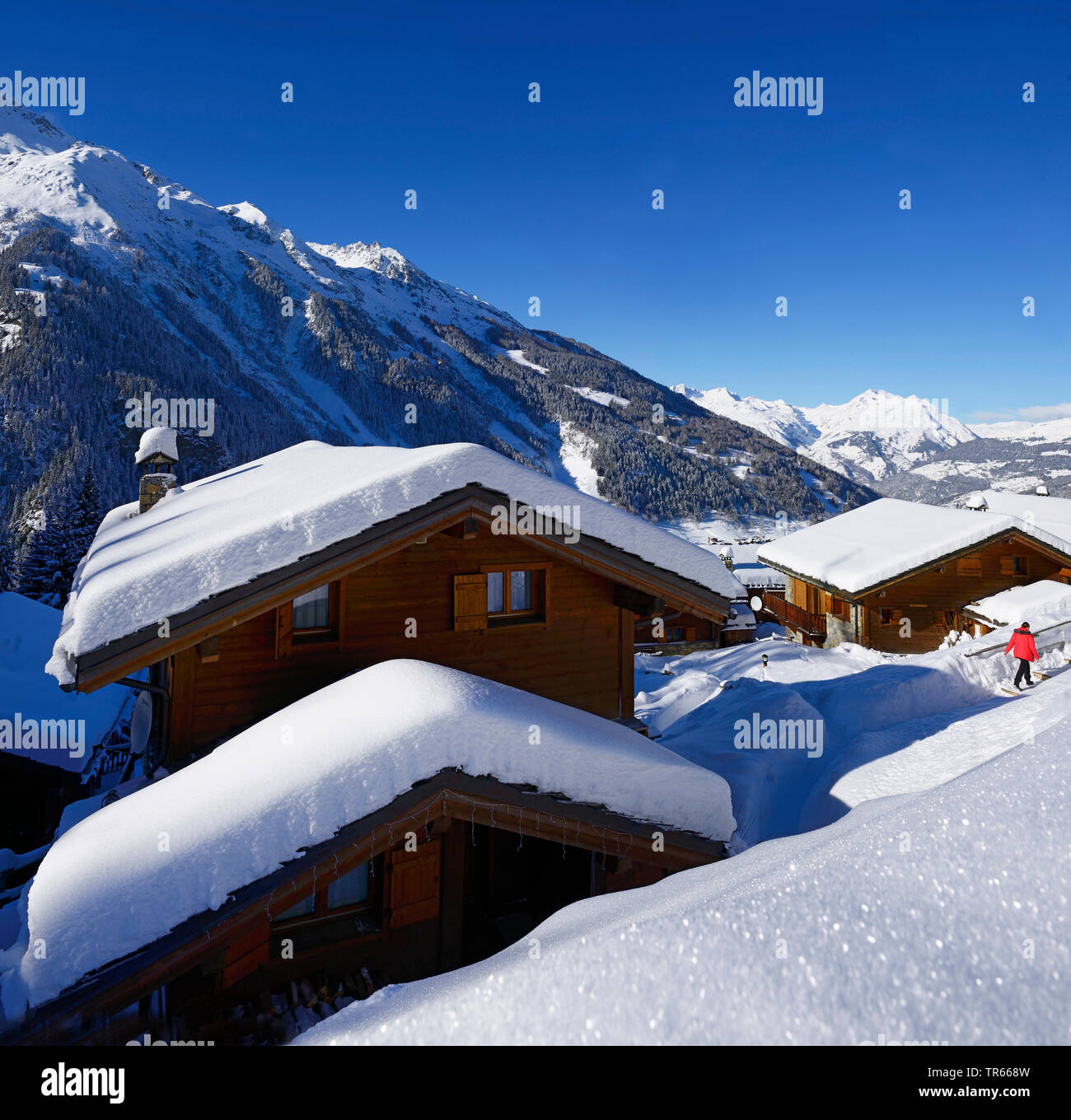 La neige a couvert de chalets traditionnels, France, Savoie, Sainte-Foy-Tarentaise Banque D'Images