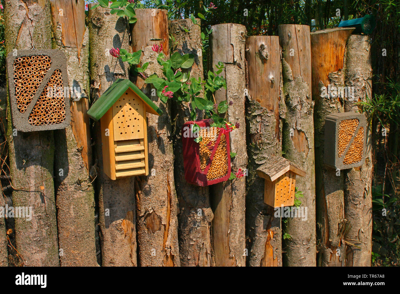Hôtels d'insectes à une clôture en bois, Allemagne Banque D'Images