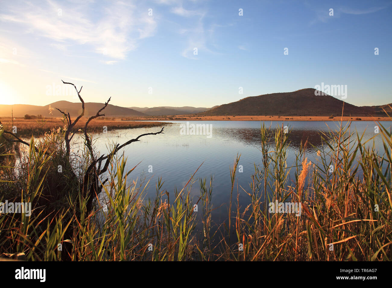 Mankwe Dam, Afrique du Sud, Province du Nord Ouest, le Parc National de Pilanesberg Banque D'Images