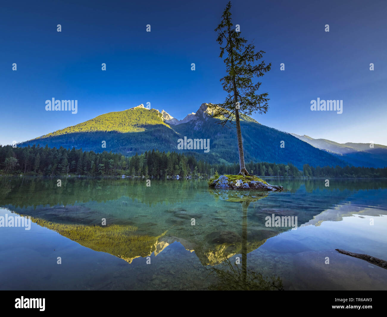 Le lac Hintersee dans le parc national de Berchtesgaden, en Allemagne, en Bavière, le parc national de Berchtesgaden Banque D'Images