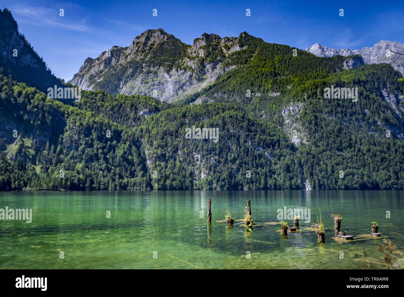 Le lac Königssee, dans le parc national de Berchtesgaden, en Allemagne, en Bavière, le parc national de Berchtesgaden Banque D'Images