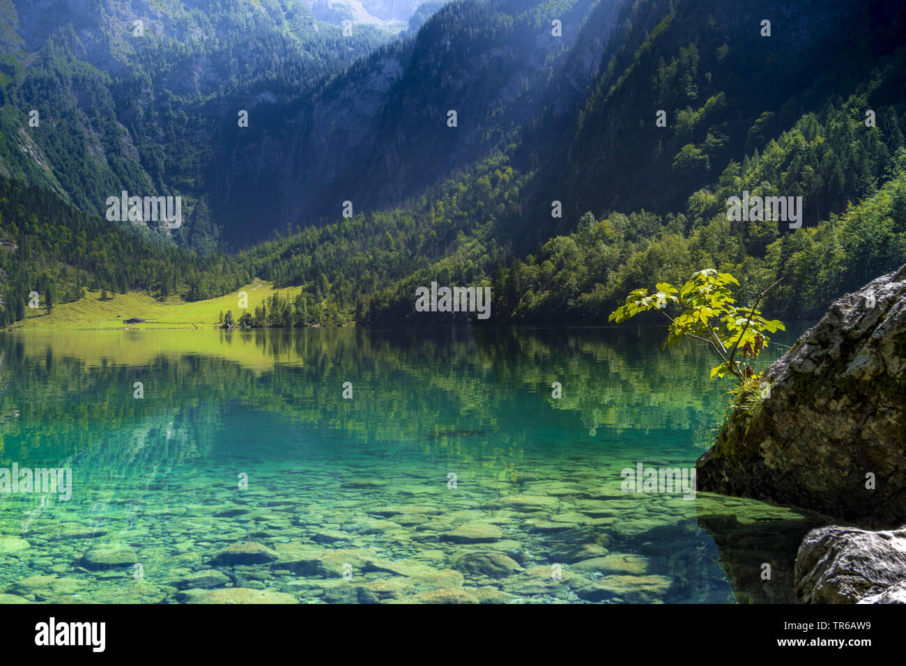 Lac Obersee dans le parc national de Berchtesgaden, en Allemagne, en Bavière, le parc national de Berchtesgaden Banque D'Images