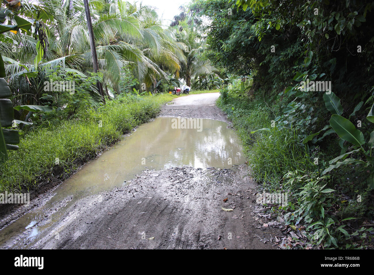 Flaque d'eau sur des routes non asphaltées, philippines, sud de l'île de Leyte, Panaon, San Ricardo Banque D'Images
