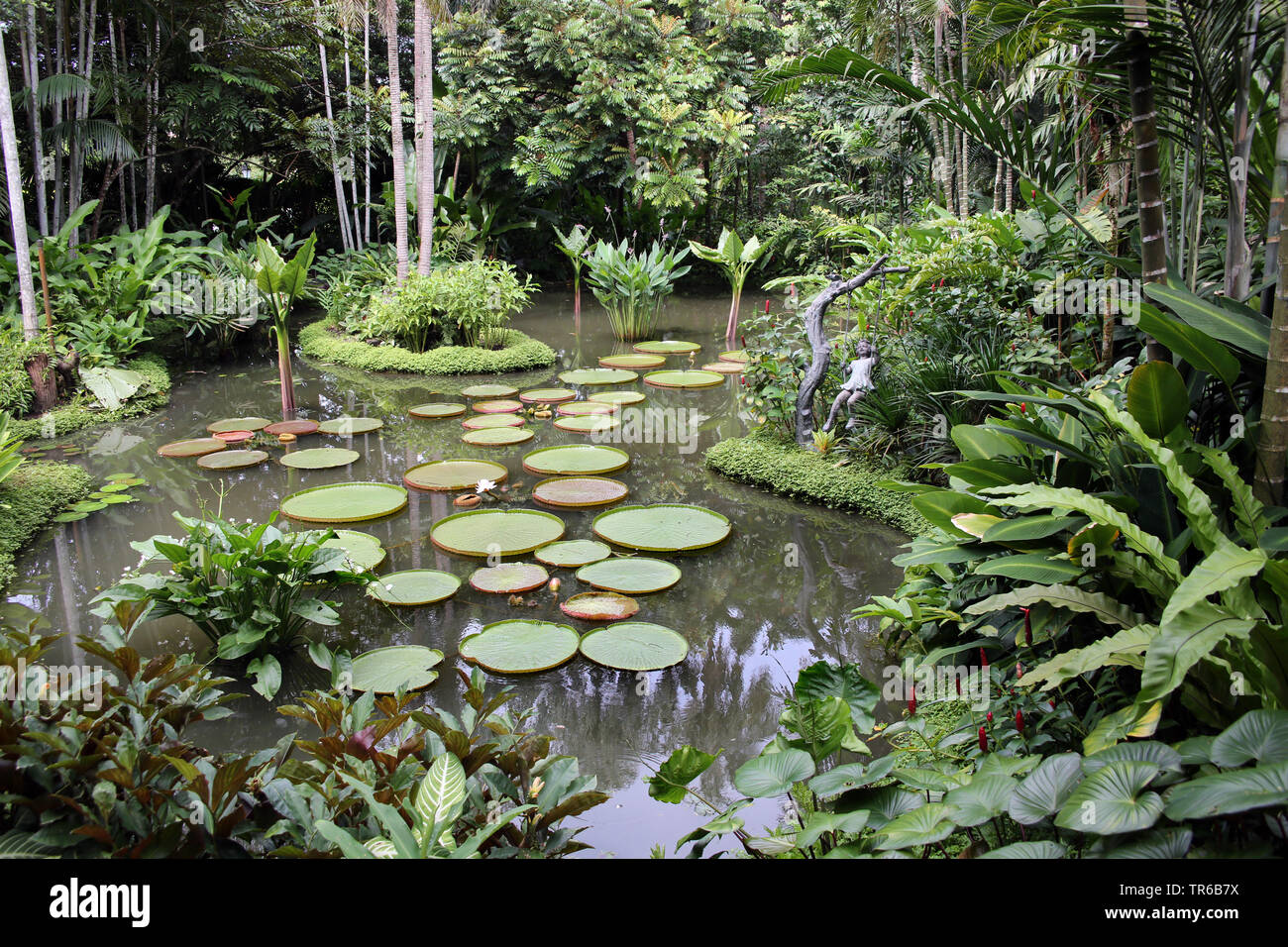 Étang dans les jardins botaniques de Singapour, Singapour Banque D'Images Étang dans les jardins botaniques de Singapour, Singapour Banque D'Images