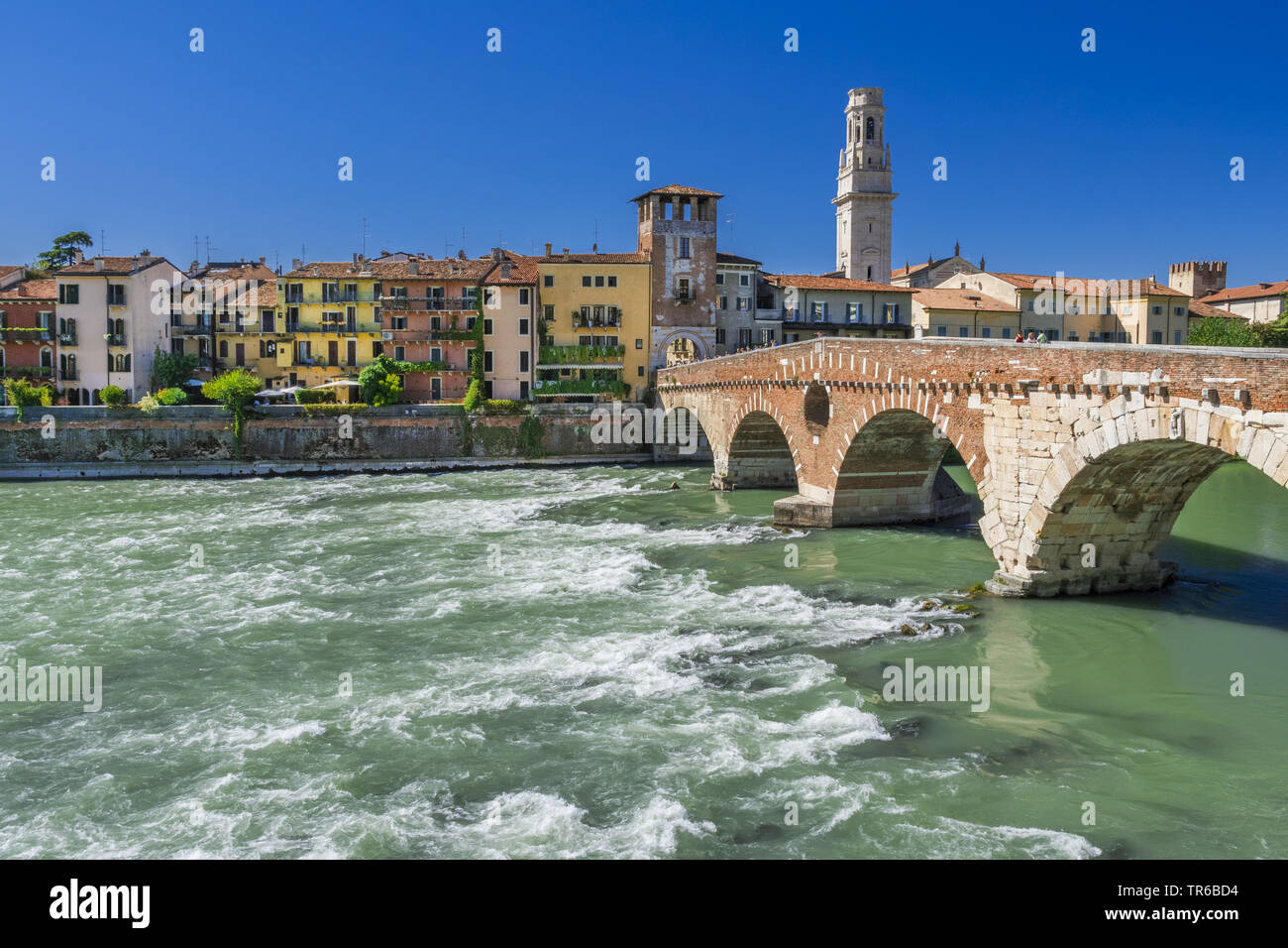 Vérone avec la cathédrale de Vérone et le Ponte Pietra sur le fleuve Adige, Italie, Vénétie, Vérone Banque D'Images