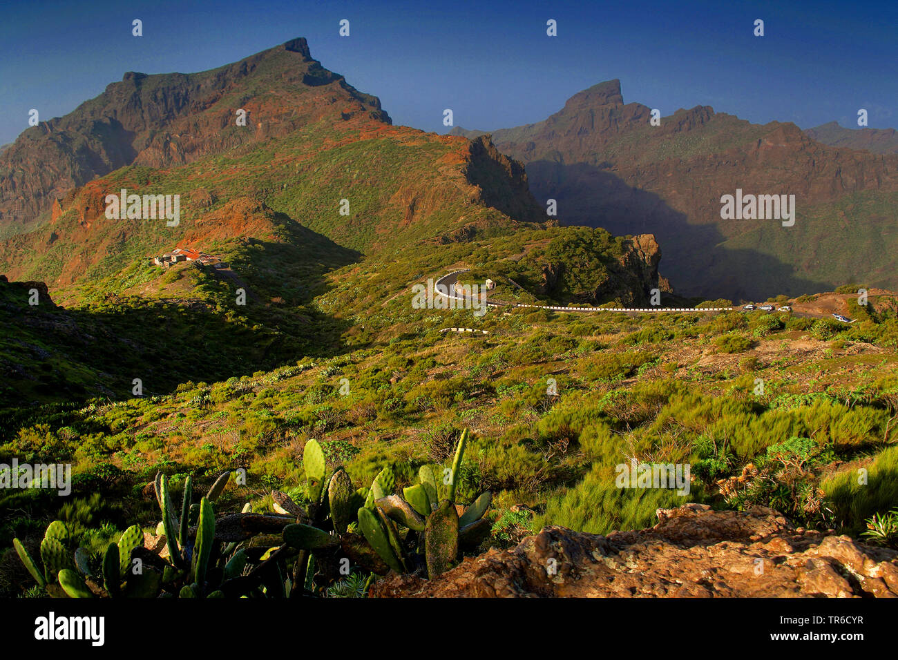 Route de Masca dans le massif de Teno, Iles Canaries, Tenerife Banque D'Images