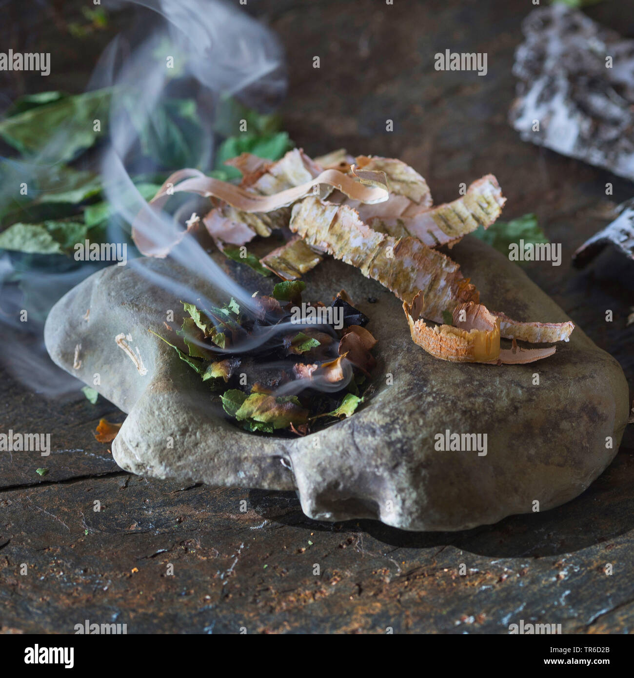 Bruning d'écorce de bouleau sur une pierre, Allemagne Banque D'Images